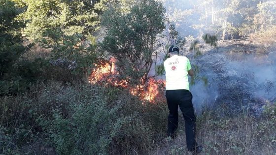Bursa Yenişehir’de Orman Yangınına Ekiplerimiz Müdahale Ediyor