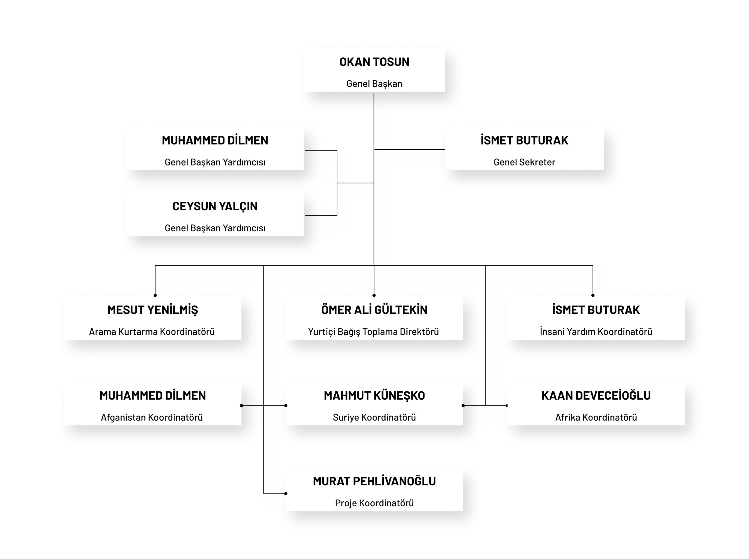 Anda Organizasyon Şeması